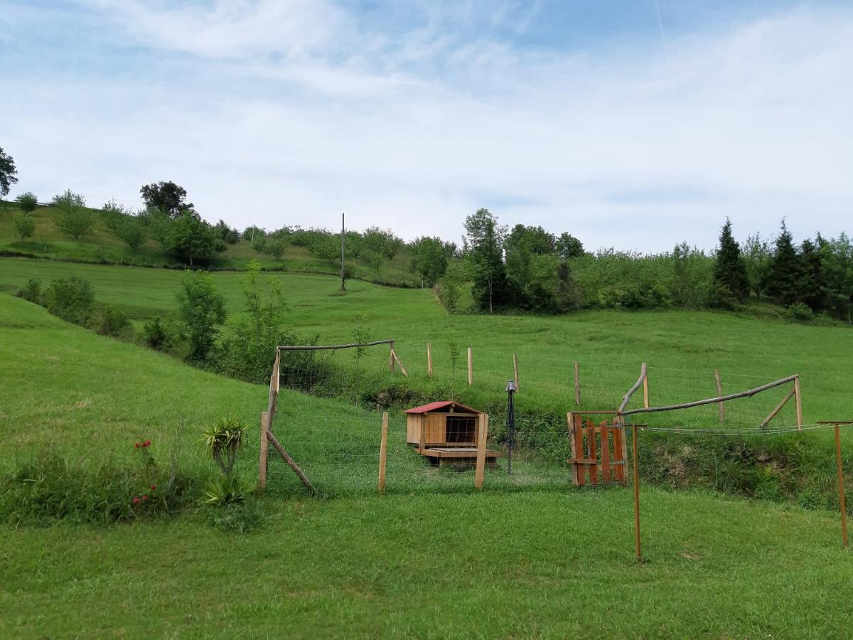 Casa Eguzkitze Vendégház Abaltzisketa Kültér fotó