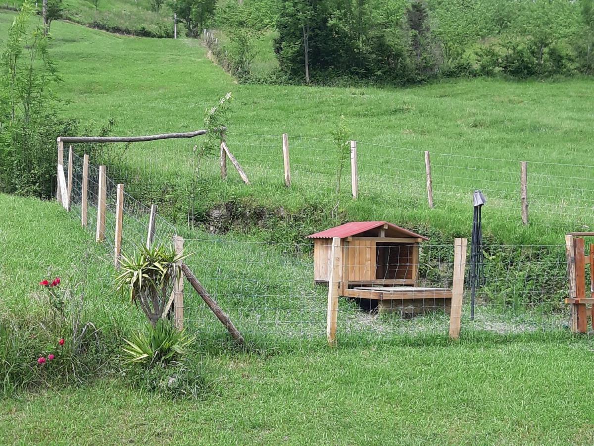 Casa Eguzkitze Vendégház Abaltzisketa Kültér fotó